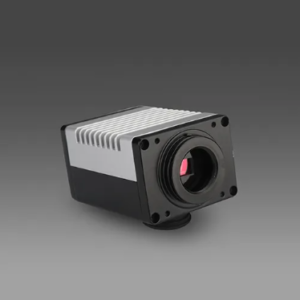 Digital Camera Dewinter