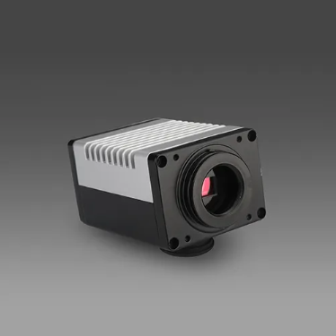 Digital Camera Dewinter