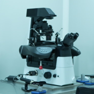 ICSI System | Micromanipulator System ICSI Machine, Model Name/Number: Standard