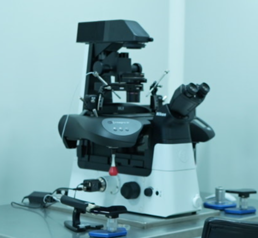 ICSI System | Micromanipulator System ICSI Machine, Model Name/Number: Standard
